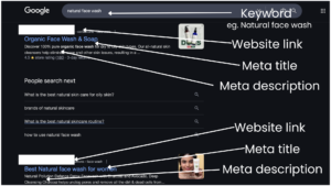 Image showing different elements of SERPs to try and help with SEO for startups